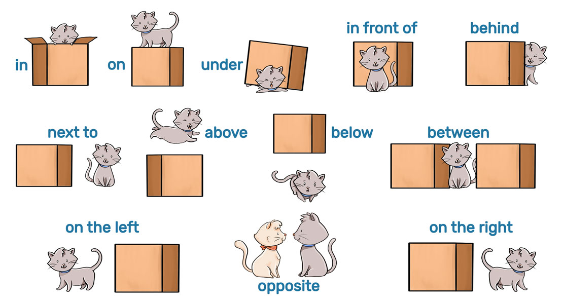 Prepositions