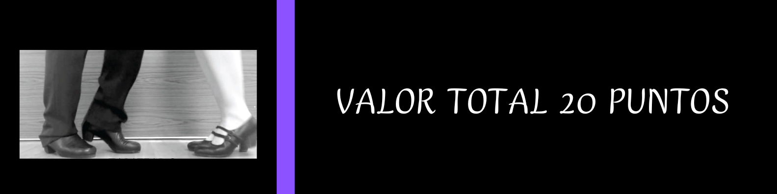 VALOR TOTAL 20 PUNTOS
