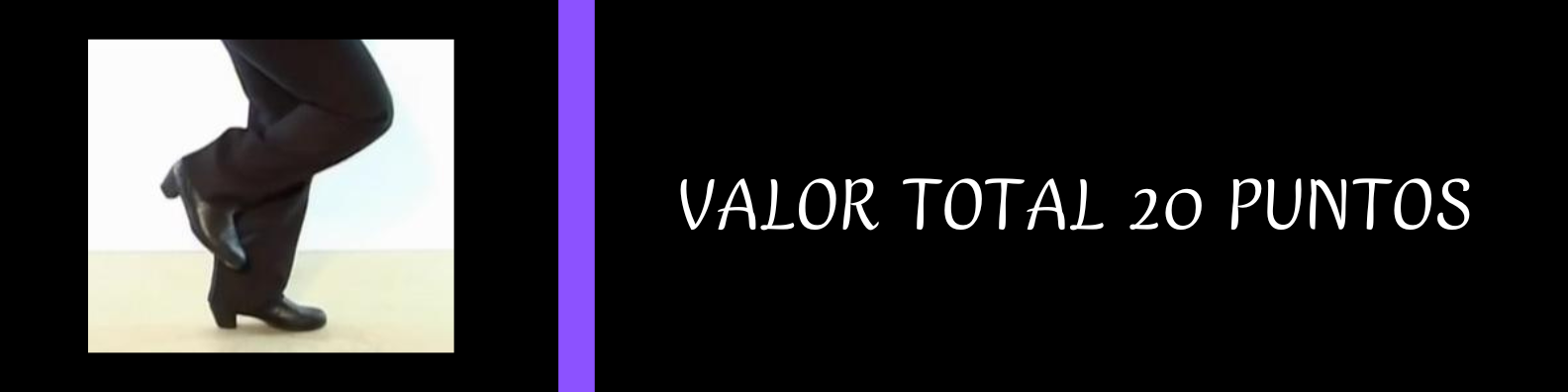 VALOR TOTAL 20 PUNTOS
