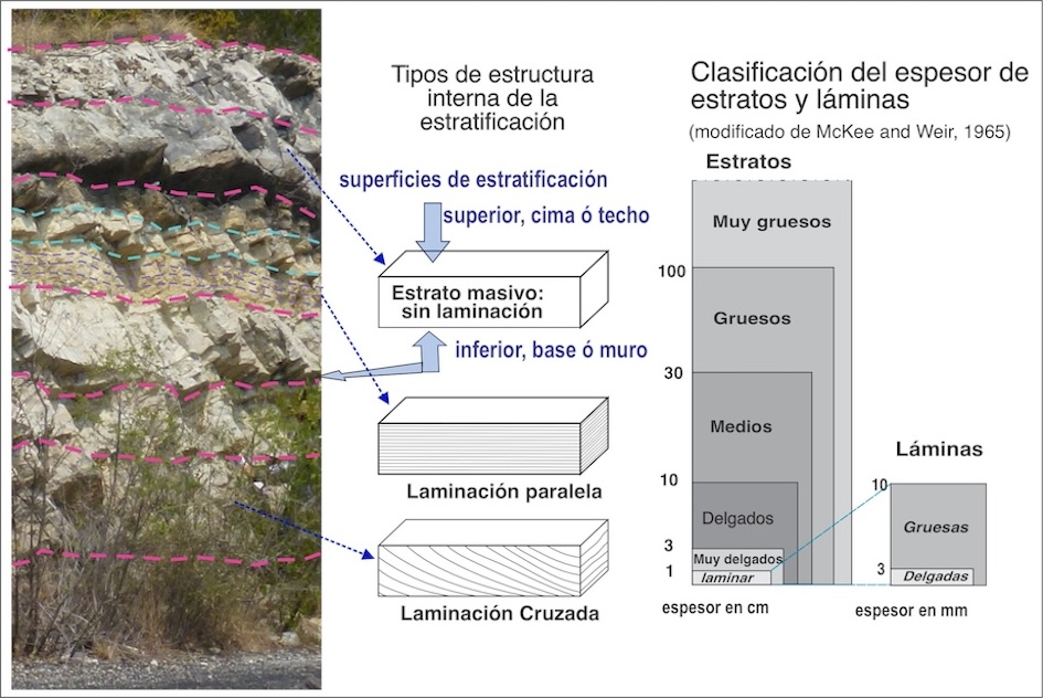 Estratificacion