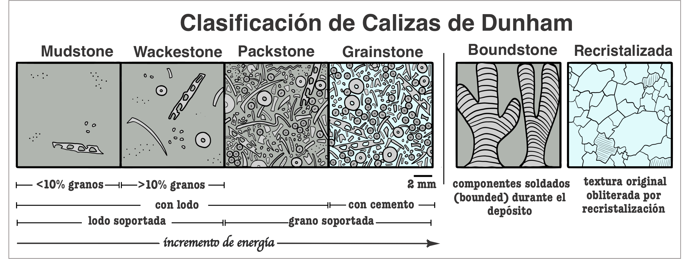 Page Quinton - Own work, CC BY-SA 4.0, https://commons.wikimedia.org/w/index.php?curid=131978081
