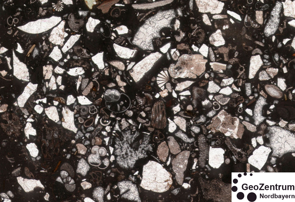 By NikelsenH - Own work, CC BY-SA 4.0, https://commons.wikimedia.org/w/index.php?curid=56573802