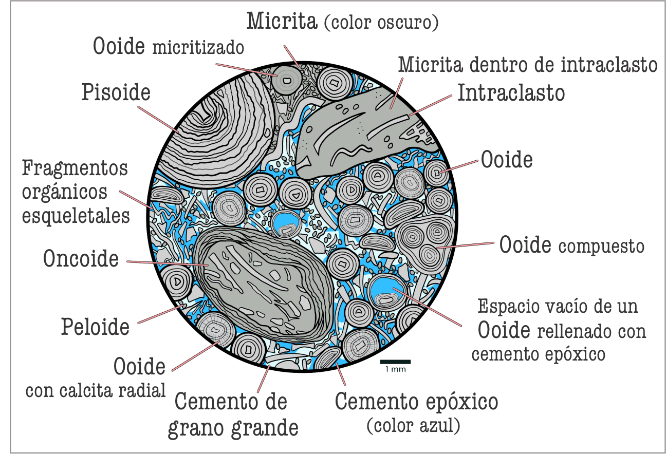 By Page Quinton - Own work, CC BY-SA 4.0, https://commons.wikimedia.org/w/index.php?curid=142127923