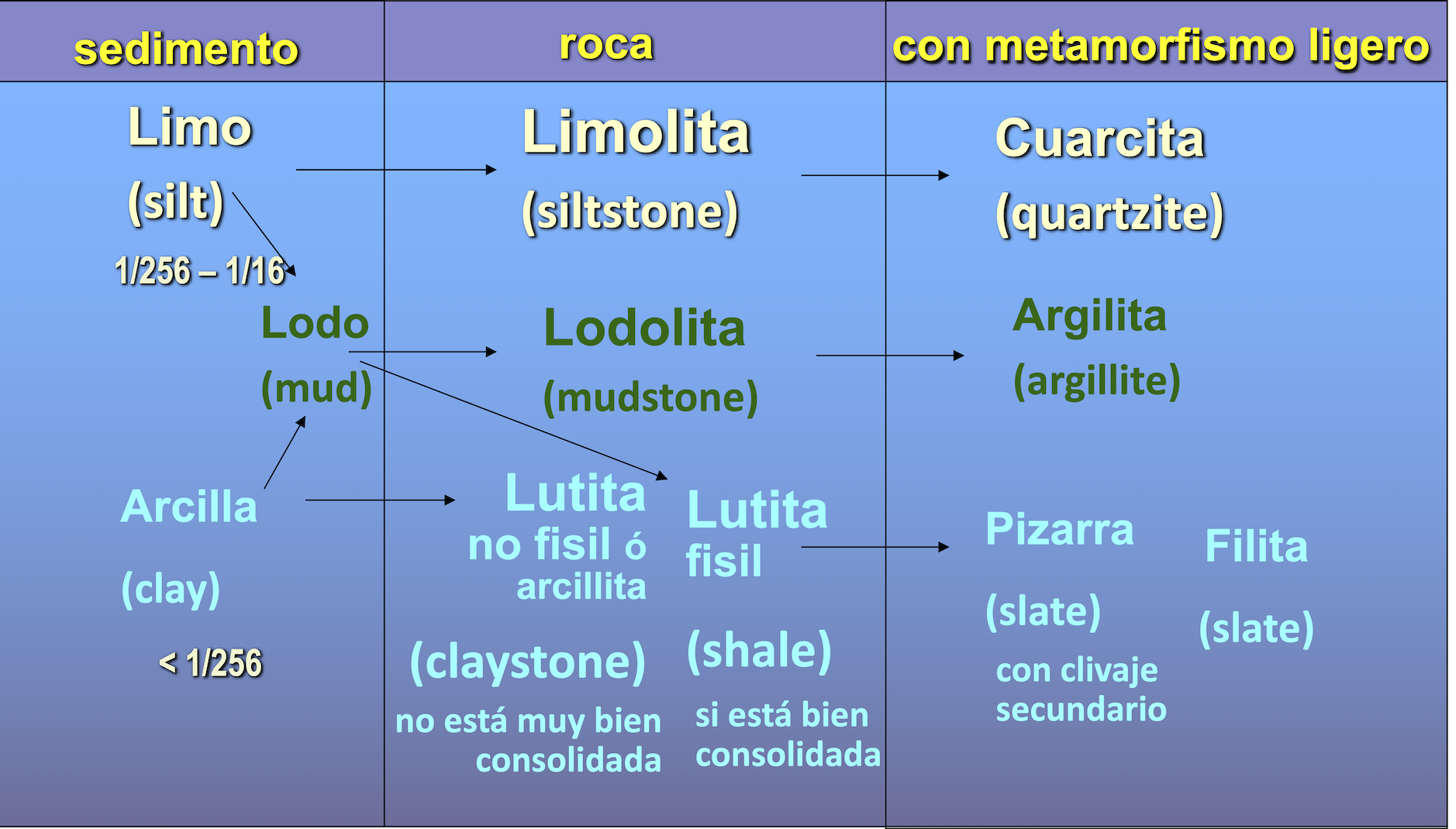 lutitas y limolitas